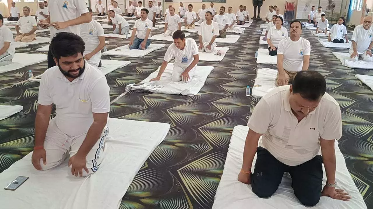 UP News: अमेठी में धूमधाम से मनाया गया अंतरराष्ट्रीय योग दिवस, जगह-जगह हुए योग सत्र UP News: अमेठी में धूमधाम से मनाया गया अंतरराष्ट्रीय योग दिवस, जगह-जगह हुए योग सत्र