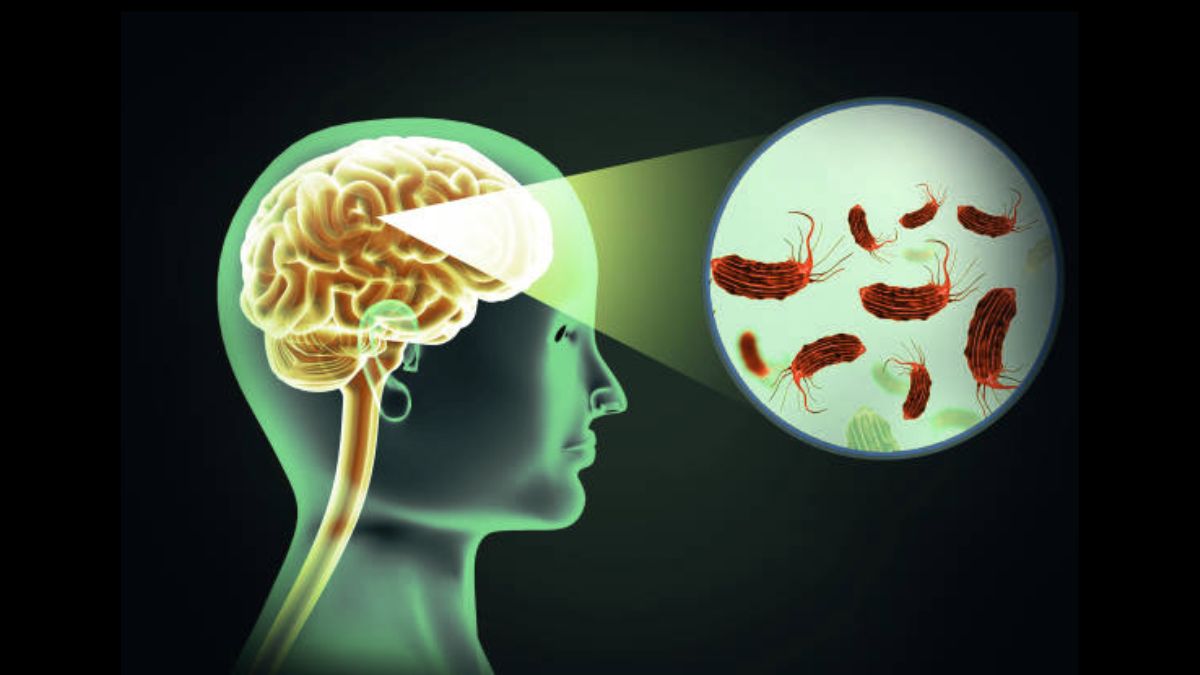 Brain Eating Amoeba: क्या है ब्रेन ईटिंग अमीबा? केरल में बरपा रहा कहर, अब तक 19 लोगों की गयी जान, स्वास्थ्य विभाग अलर्ट