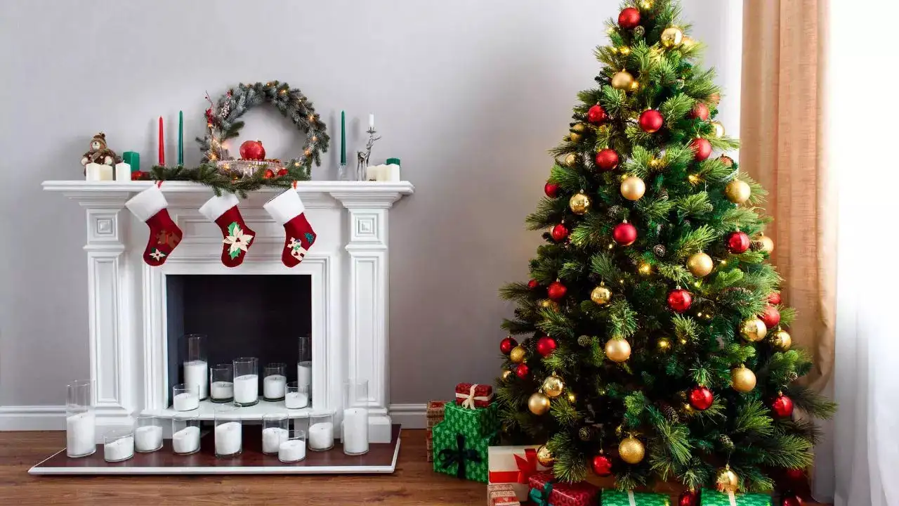 Christmas Tree Vastu: क्रिसमस से पहले जान लें क्रिसमस ट्री के वास्तु नियम, वरना हो सकता है नुकसान