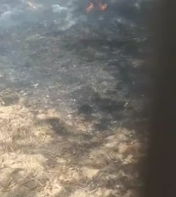 चंदौली में आग का कहर: बचाव से पहले ही विकराल हुई लपटें, फसल राख में तब्दील