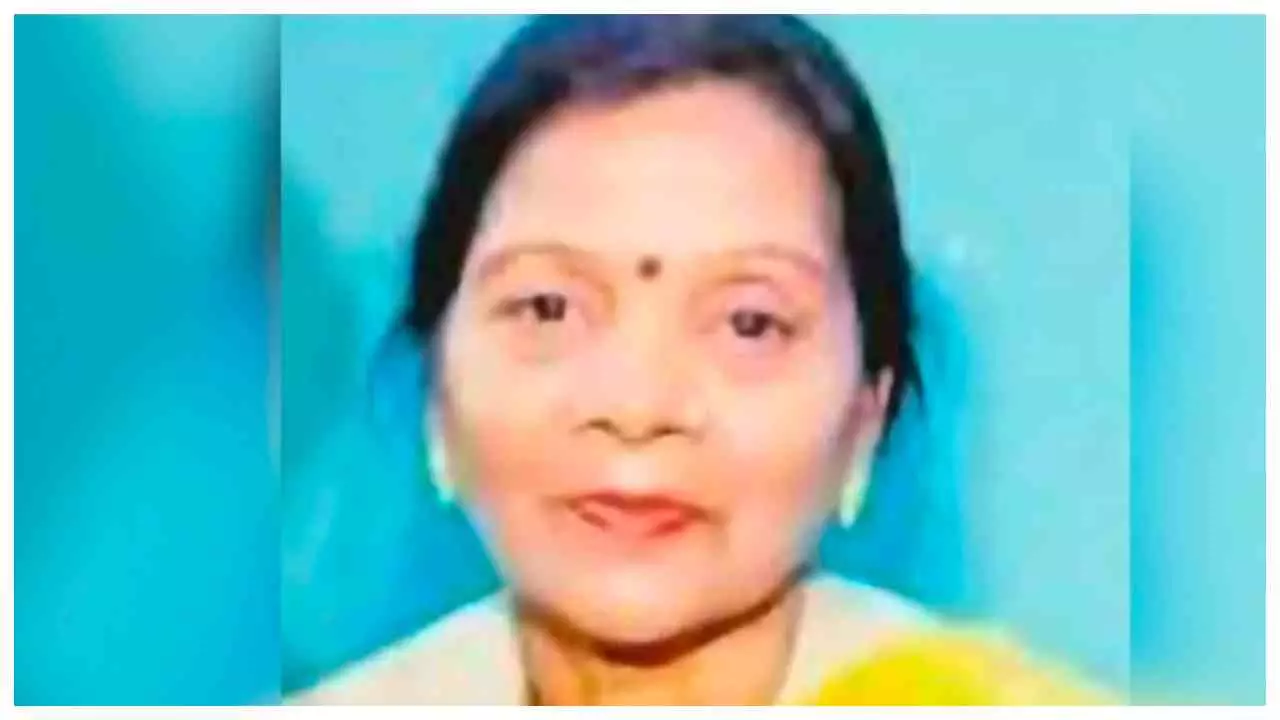 Bareilly News: कुत्तों का खौफ बना जानलेवा, बरेली में दर्दनाक हादसा