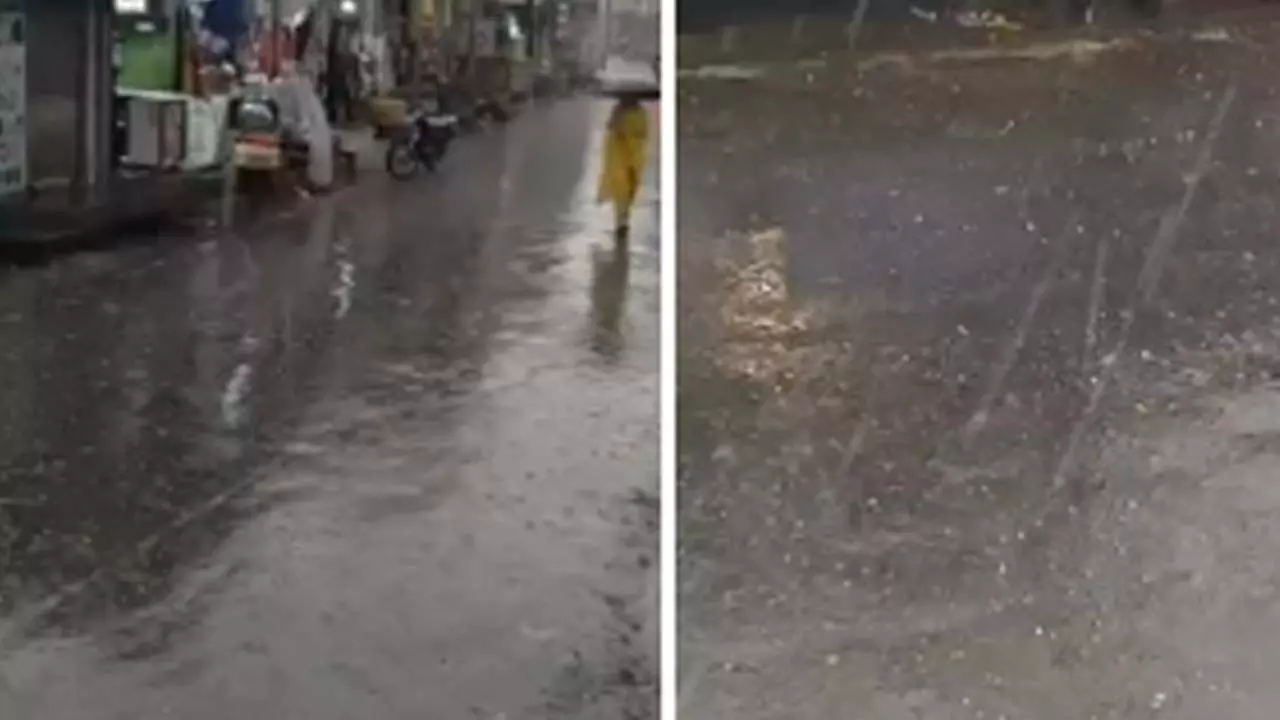 Baghpat News: बागपत में मौसम ने बदली करवट, आंधी-बारिश से राहत तो ओलावृष्टि से नुकसान