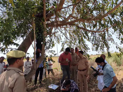 Jalaun News: सिरसा कलार क्षेत्र में हड़कंप,खेत में मिला बुजुर्ग का शव, जांच जारी