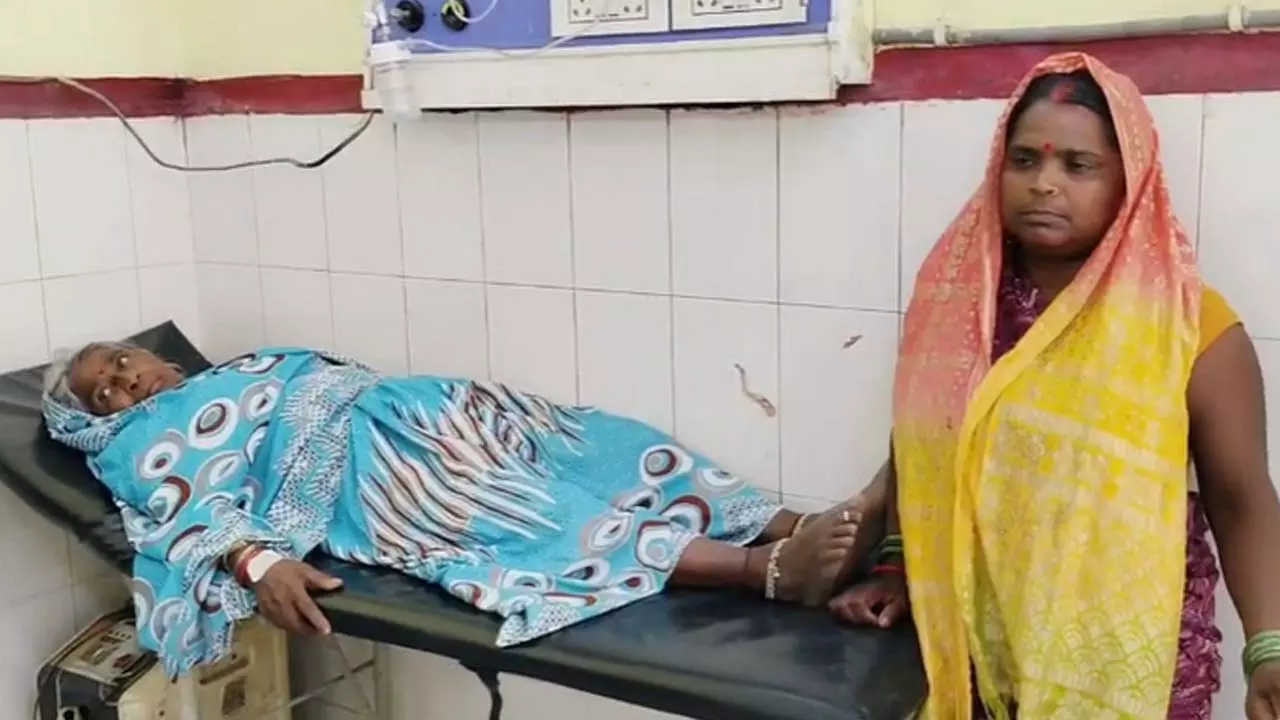 Raebareli News : रायबरेली में हैरान करने वाला दावा, बुजुर्ग महिला को नाग-नागिन ने 21 बार डंसा Raebareli News : रायबरेली में हैरान करने वाला दावा, बुजुर्ग महिला को नाग-नागिन ने 21 बार डंसा