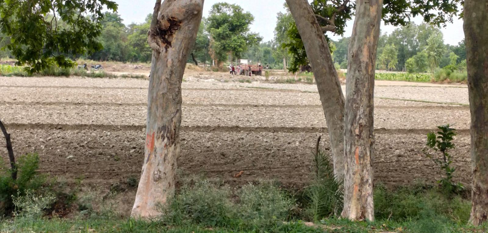 Barabanki News: बाराबंकी में अवैध खनन का खेल: पलटूपुर गांव के पास धड़ल्ले से हो रही मिट्टी की खुदाई