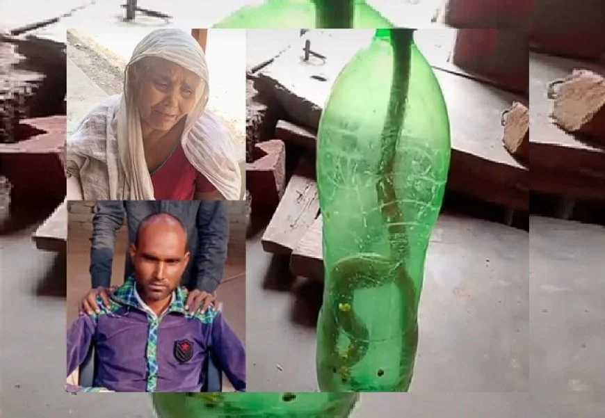 Hardoi News: सांप ने डसा तो उसे बोतल में बंद कर अस्पताल पहुंचा शख्स, इलाज के दौरान हुई मौत Hardoi News: सांप ने डसा तो उसे बोतल में बंद कर अस्पताल पहुंचा शख्स, इलाज के दौरान हुई मौत